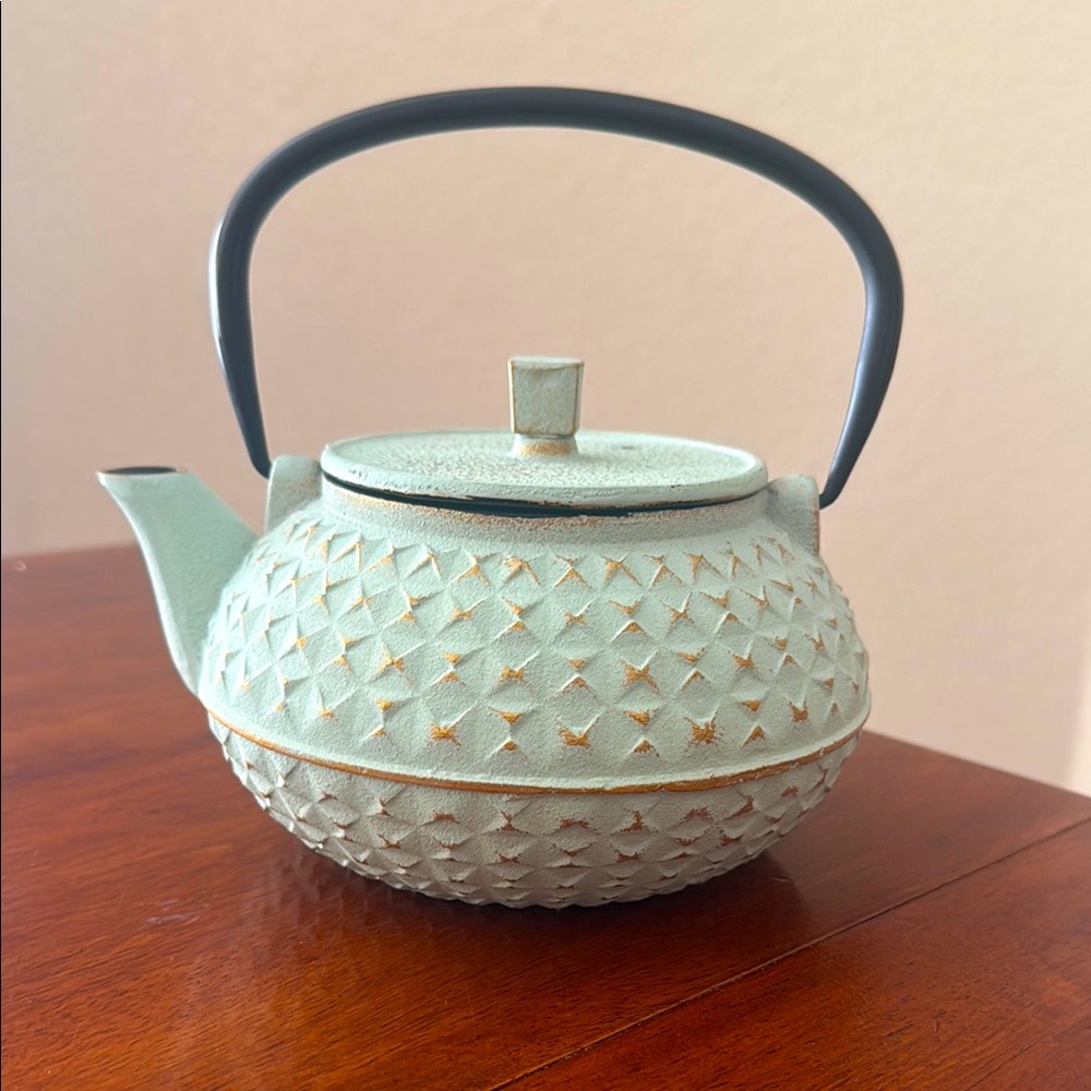 Textured Cast Iron Teapot with Black Handle strainer and lid teal black 4 Cup